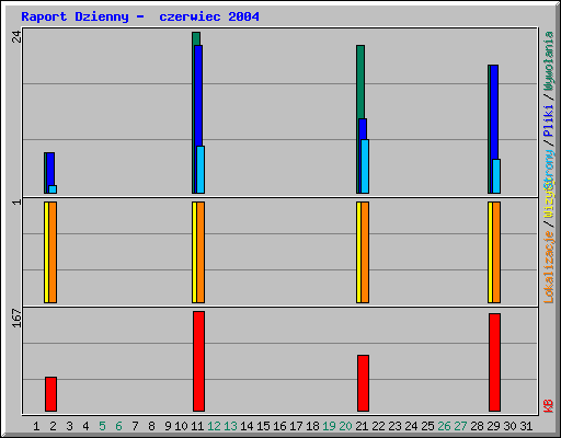 Raport Dzienny -  czerwiec 2004