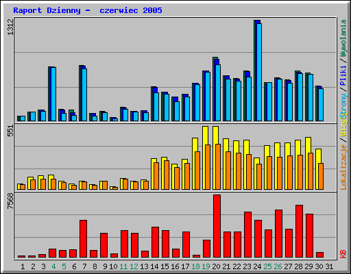 Raport Dzienny -  czerwiec 2005