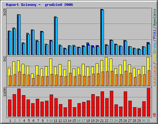 Raport Dzienny -  grudzie 2006