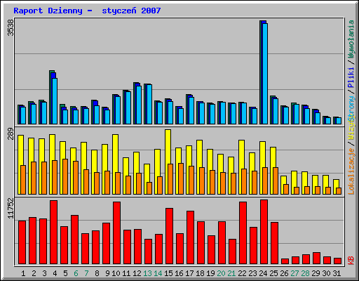 Raport Dzienny -  stycze 2007