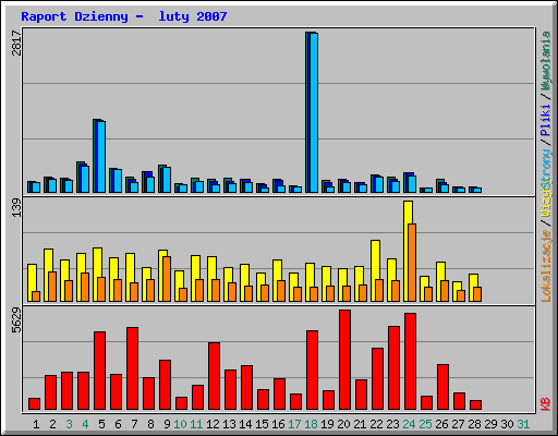 Raport Dzienny -  luty 2007