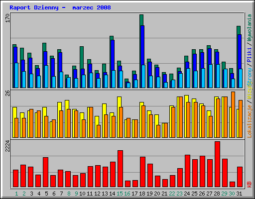 Raport Dzienny -  marzec 2008