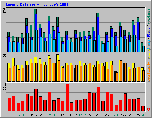 Raport Dzienny -  stycze 2009