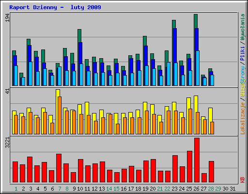 Raport Dzienny -  luty 2009