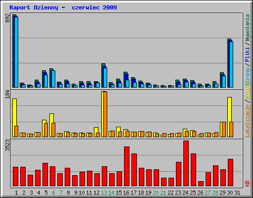 Raport Dzienny -  czerwiec 2009