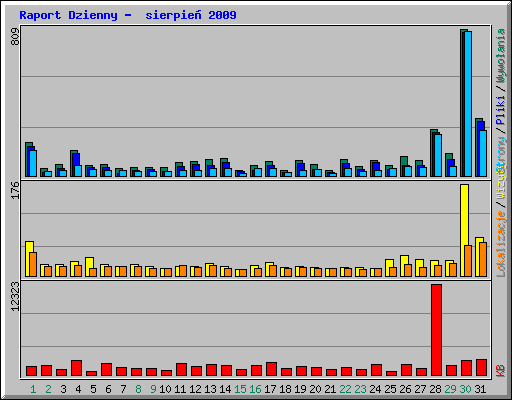 Raport Dzienny -  sierpie 2009