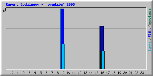 Raport Godzinowy -  grudzie� 2003