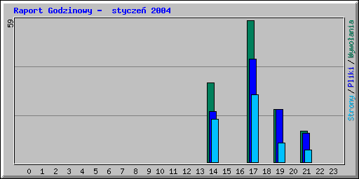 Raport Godzinowy -  stycze� 2004