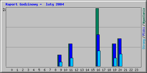 Raport Godzinowy -  luty 2004