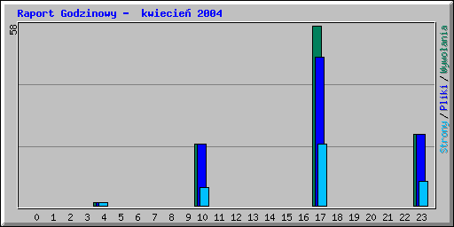Raport Godzinowy -  kwiecie� 2004
