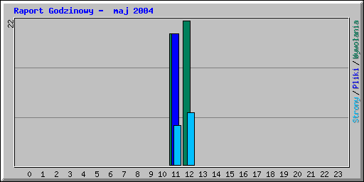 Raport Godzinowy -  maj 2004