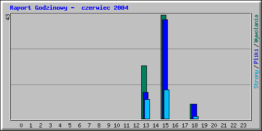 Raport Godzinowy -  czerwiec 2004