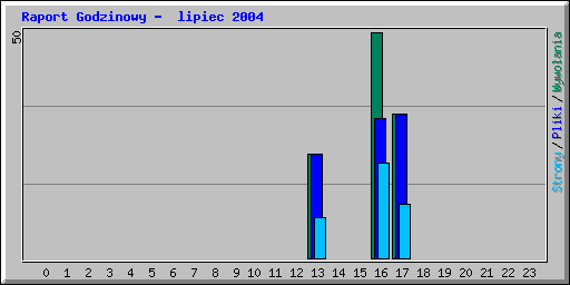 Raport Godzinowy -  lipiec 2004