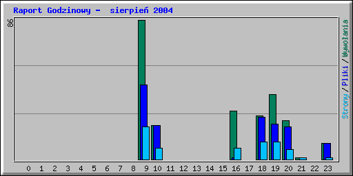 Raport Godzinowy -  sierpie� 2004