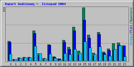 Raport Godzinowy -  listopad 2004