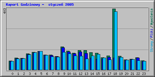 Raport Godzinowy -  stycze 2005