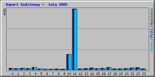 Raport Godzinowy -  luty 2005