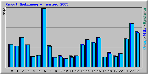 Raport Godzinowy -  marzec 2005