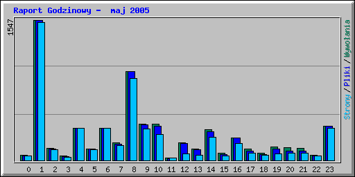 Raport Godzinowy -  maj 2005