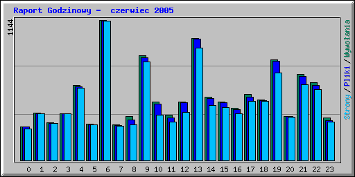 Raport Godzinowy -  czerwiec 2005