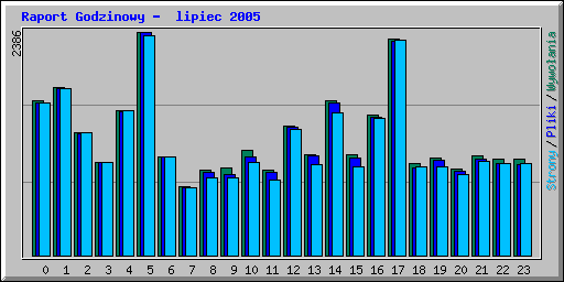 Raport Godzinowy -  lipiec 2005