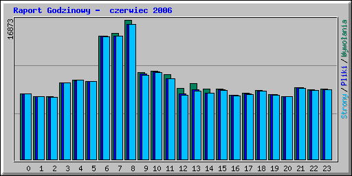 Raport Godzinowy -  czerwiec 2006
