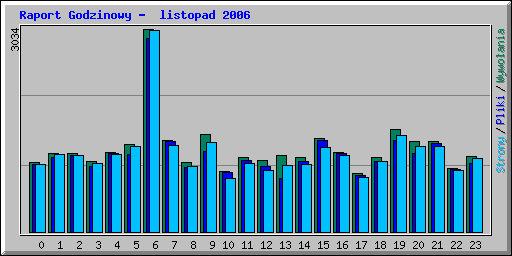 Raport Godzinowy -  listopad 2006