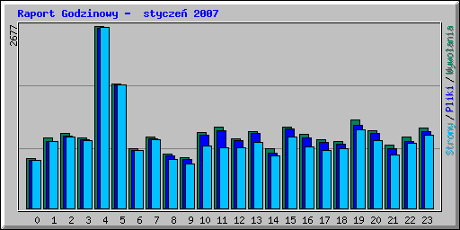 Raport Godzinowy -  stycze 2007