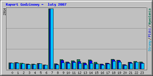 Raport Godzinowy -  luty 2007