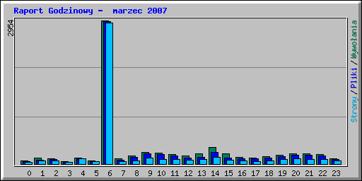 Raport Godzinowy -  marzec 2007