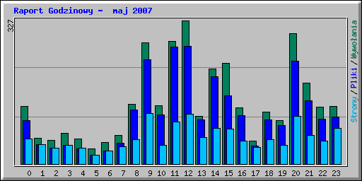 Raport Godzinowy -  maj 2007