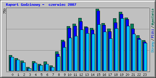 Raport Godzinowy -  czerwiec 2007