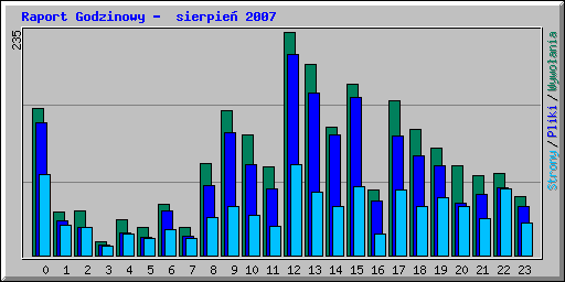 Raport Godzinowy -  sierpie 2007