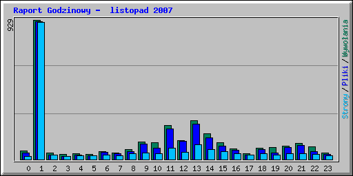 Raport Godzinowy -  listopad 2007