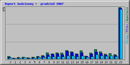 Raport Godzinowy -  grudzie 2007