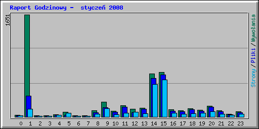 Raport Godzinowy -  stycze 2008
