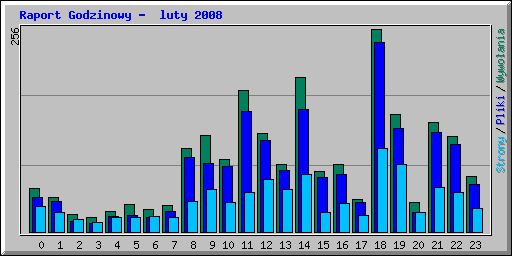 Raport Godzinowy -  luty 2008
