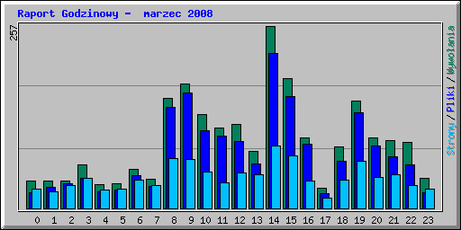 Raport Godzinowy -  marzec 2008