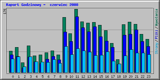 Raport Godzinowy -  czerwiec 2008