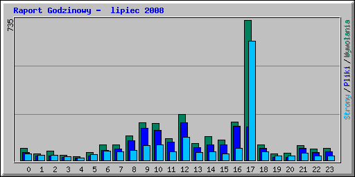Raport Godzinowy -  lipiec 2008