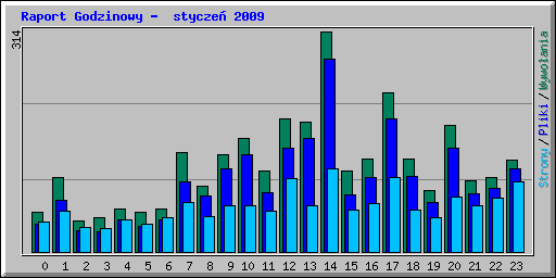 Raport Godzinowy -  stycze 2009
