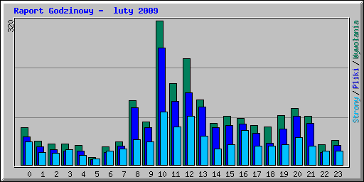 Raport Godzinowy -  luty 2009