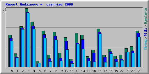 Raport Godzinowy -  czerwiec 2009