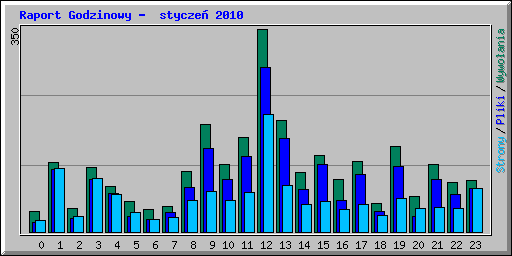Raport Godzinowy -  stycze 2010